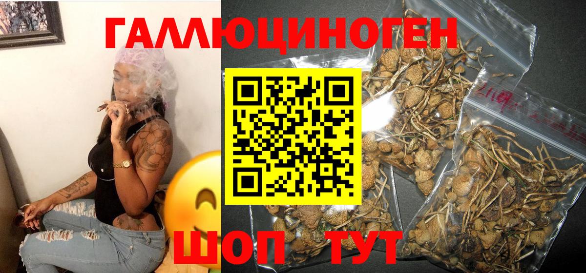 Псилоцибиновые грибы ЛСД Видное